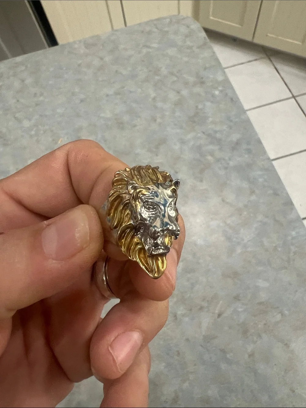N/A bold lion
